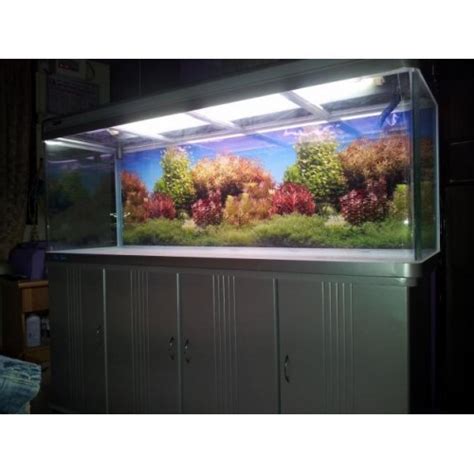 Imported Aquarium Tank At Rs 1500 Piece Aquarium Tank In Bengaluru