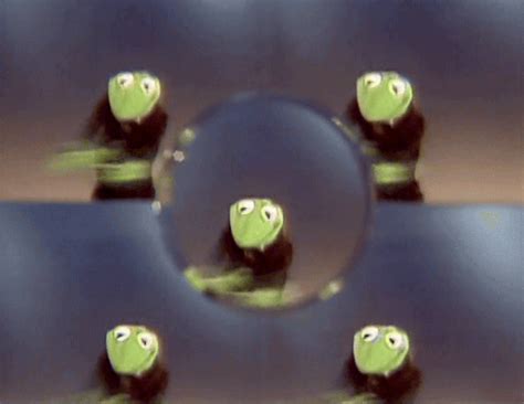 kermit the frog gif on Tumblr