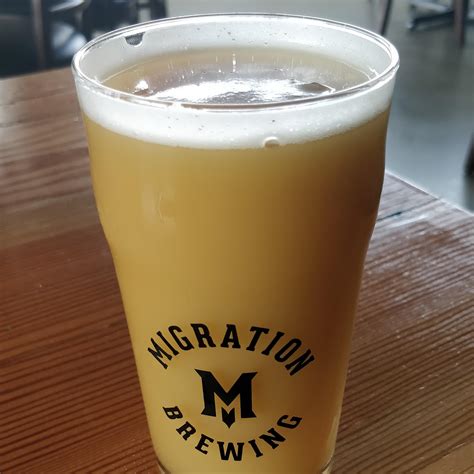 Hazy IPA or nastiest UTI you've ever seen? : r/nursing