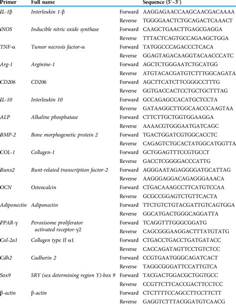 Primer Sequences For Quantitative Real Time Polymerase Chain Reaction