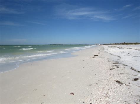 Things to do in Dunedin, Florida - Sunshine State Insider