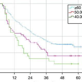 Overall Survival Curves Of 220 Esophageal Cancer Patients Receiving