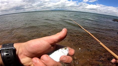 Pesca De Costa No Me Esperaba Esos Piques Recorrida Y Naturaleza En