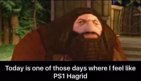 Harry Potter: 10 Hilarious Hagrid Logic Memes That Are Too Funny