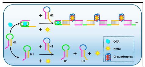 Chemosensors Free Full Text Contribution Of Nanomaterials To The