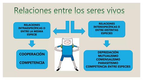 Relaciones Entre Los Seres Vivos Cuarto Básico Ppt