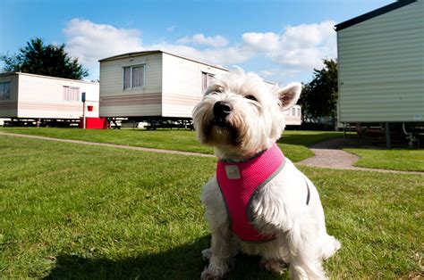 Axevale Caravan Park - Seaton, Devon