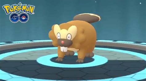 Bestes Moveset für Bibarel in Pokemon Go