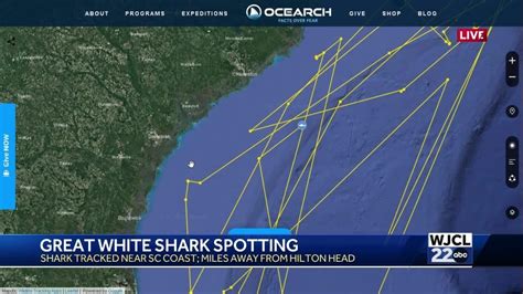 12 Foot Great White Shark Tracked Off Hilton Head Coast Youtube