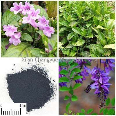 Natural Indigo Extract Shaanxi Huachen Biotech Co Ltd