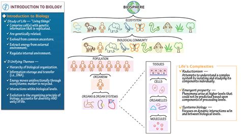 General Biology: Unifying Themes & Biological Organization | ditki medical & biological sciences