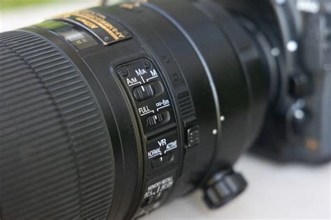 camera autofocus  wildlife photography