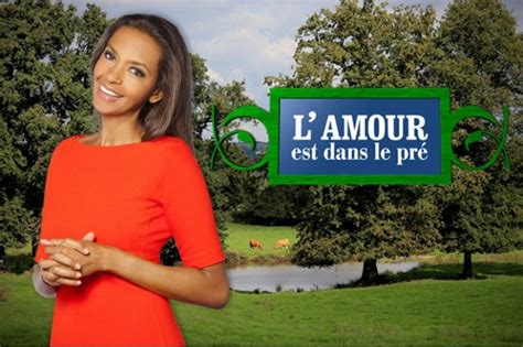 Audiences TV L Amour est dans le pré démarre fort sur M6