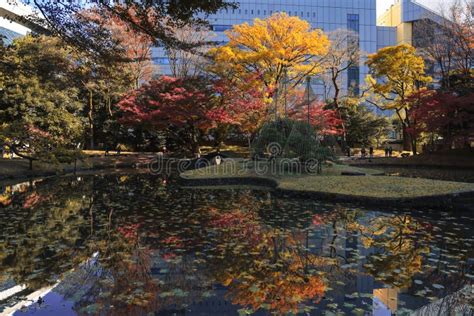 The Landscape Of The Koishikawa Korakuen Japan Nov Stock Image