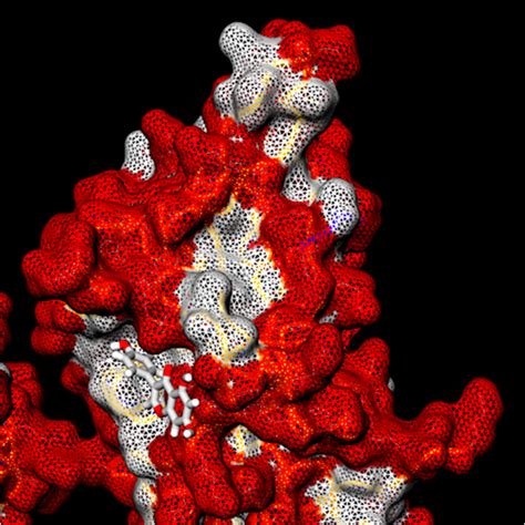 Cannabinoids Orchestrate Cross Talk Between Cancer Cells And