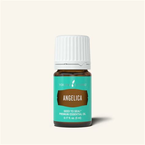 Angelica Essential Oil - Essential Oils Outlet - 7819 24 Mile Road Suite B Shelby Township, MI ...