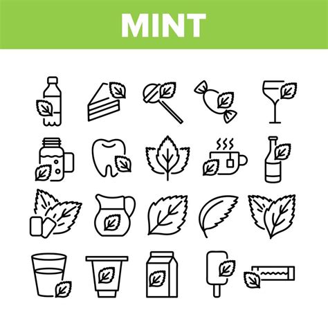 mint icon vector art icons  graphics