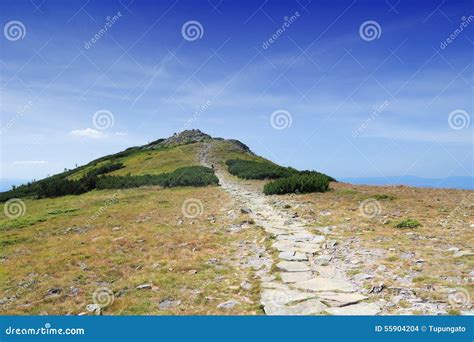 Babia Gora Stock Photo Image Of Babia Scenic Poland 55904204