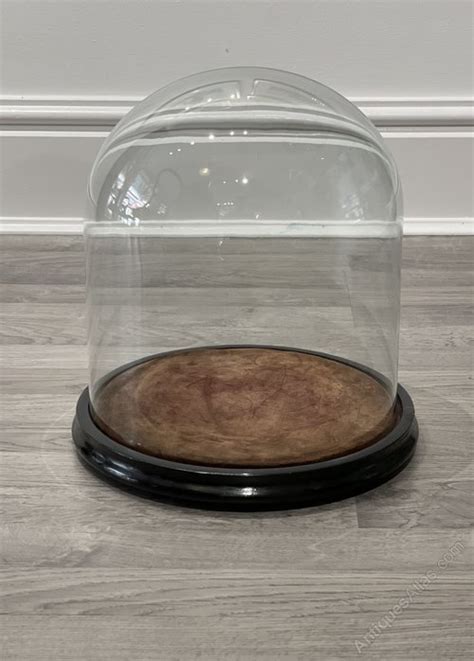 Antiques Atlas Victorian Glass Specimen Dome On Ebonised Base As A