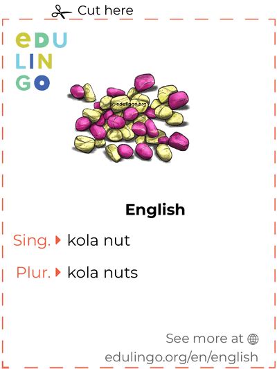 Kola Nut in English • Writing and pronunciation (with pictures)