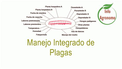 Manejo Integrado De Plagas Infoagronomo