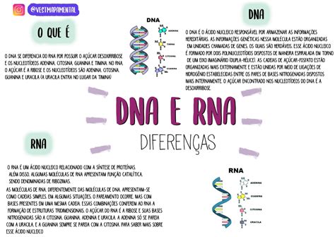 Mapa Mental Sobre Dna Librain