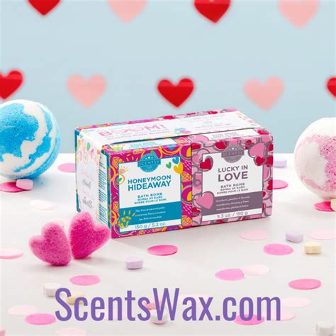 New Scentsy Valentines Day T Bundles Buy Online And Save