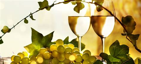 Why Sauvignon Blanc has intriguing flavours - Falstaff