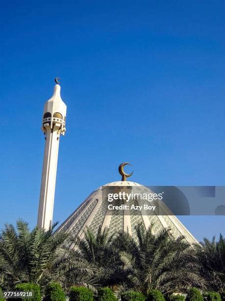 Fatima Arab ストックフォトと画像 Getty Images