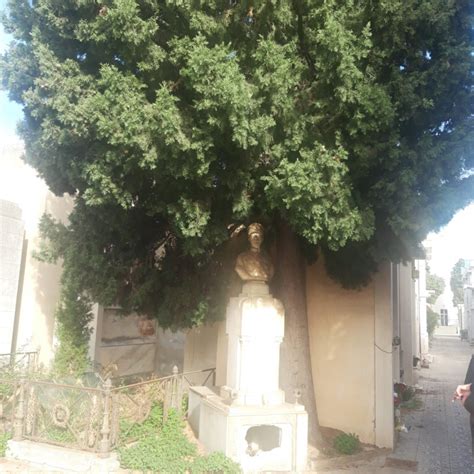 Reggio Al Cimitero Di Condera Profanata La Tomba Del Tenente Panella