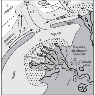 Arcuate Delta Diagram