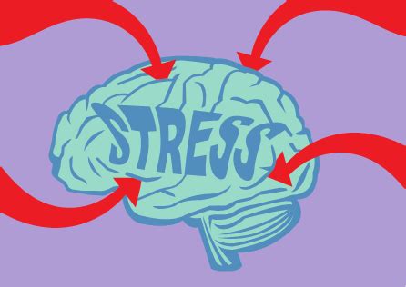 Your Brain on Stress - NeuroGrow