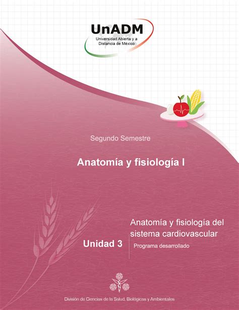 Anatomia y Fisiologia Unidad 3 Anatomía y fisiología del sistema