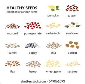 23,774 Seeds Name Images, Stock Photos, 3D objects, & Vectors | Shutterstock