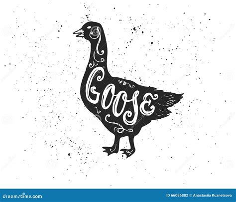 Goose Lettering In Silhouette Stock Vector Illustration Of Hand