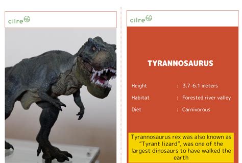 Dinosaur – Flash cards – Cilre