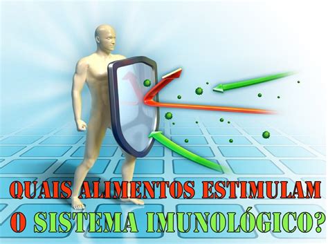 Sistema Imunológico Saiba Quais 14 Alimentos Estimulam