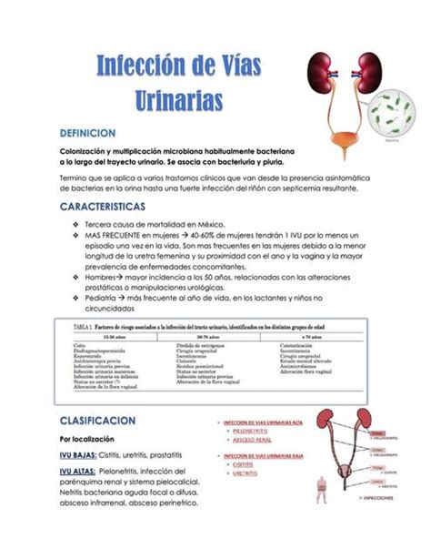 Infecci N De V As Urinarias Dra Rochajessi Udocz