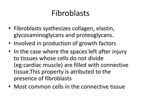 PPT - Connective Tissue PowerPoint Presentation, free download - ID:1820344