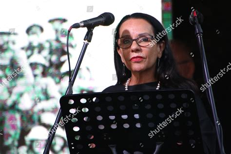 Hon Linda Burney Mp During Coloured Editorial Stock Photo Stock Image