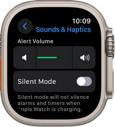 Adjust Brightness Text Size Sounds And Haptics On Apple Watch Ultra