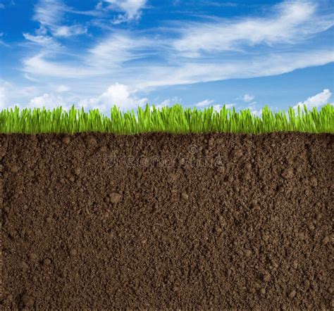 Soil Grass And Sky Background Stock Photo Image 30539028