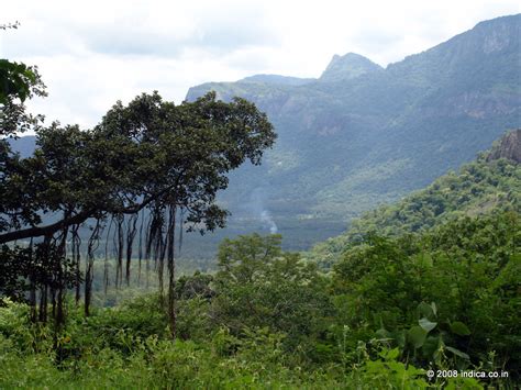 Indira Gandhi National Park