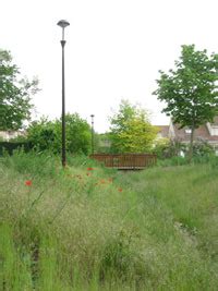 La gestion différenciée des espaces verts Ville d Achères 78