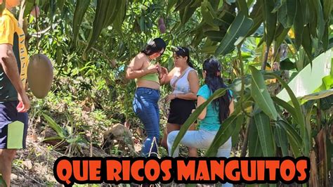 Llegamos A Un Cultivo De Mangos Youtube