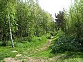 Category:Wisbech Canal - Wikimedia Commons