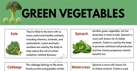 Green Vegetables List Of 33 Green Vegetables And Their Benefits • 7esl