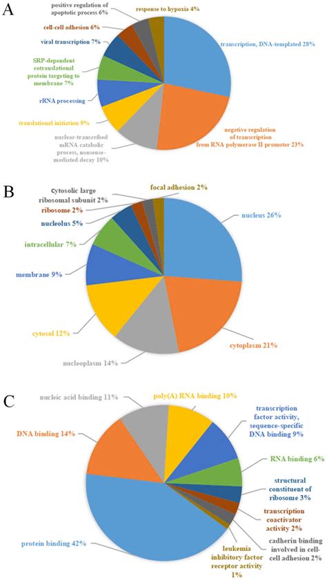 Identification Of Bcell Translocation Gene Controlled Gene Networks