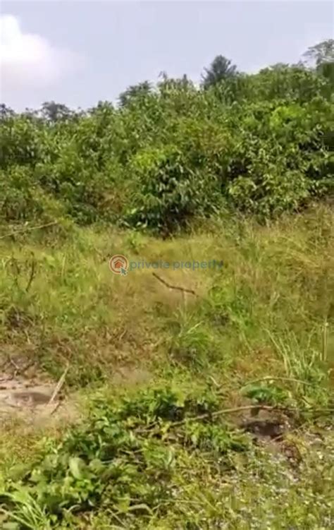 For Sale Land Iba Oloja Behind Lekki Free Trade Zone Ibeju Lekki Lagos