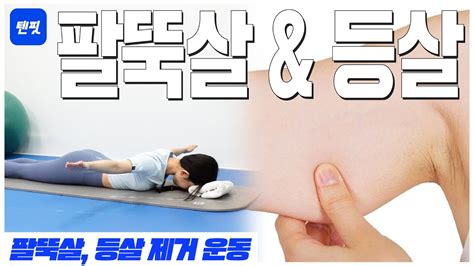 텐핏하루 10분 운동 팔뚝살과 등살을 한번에 제거하는 여름 필수 운동 Exercise To Remove Forearms